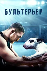Смотреть Бультерьер 