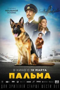  Пальма смотреть онлайн в хорошем качестве