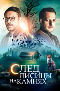 Смотреть След лисицы на камнях 