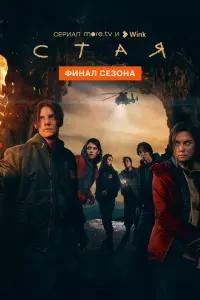 Смотреть Стая 