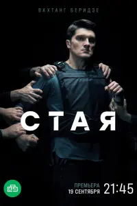 Смотреть Стая 