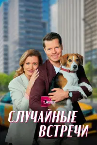 Смотреть Случайные встречи 