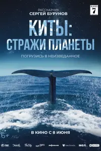 Смотреть Киты: Стражи планеты 